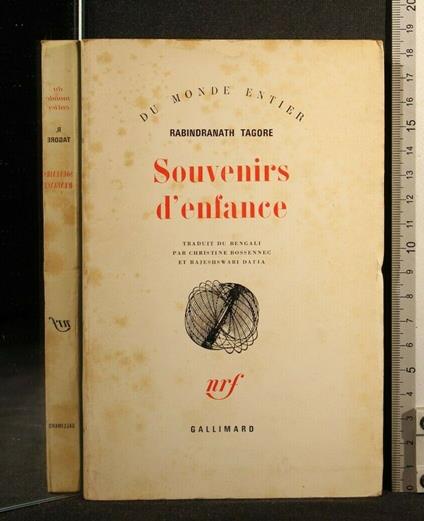 Souvenirs D'Enfance - Rabindranath Tagore - copertina