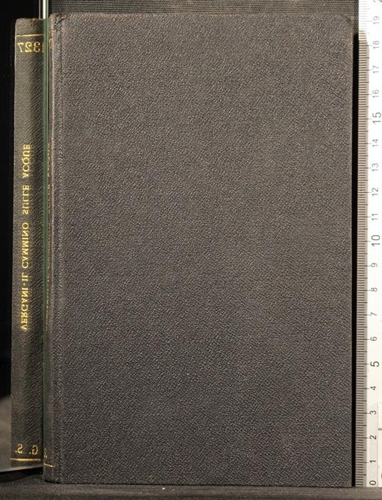 Il cammino sulle acque - Orio Vergani - copertina