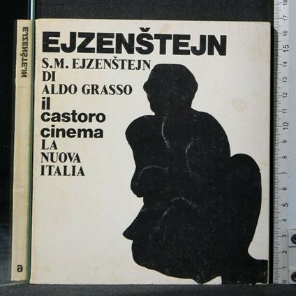 Il Castoro Cinema Ejzenstejn - Aldo Grasso - copertina