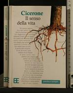 Il Senso Della Vita