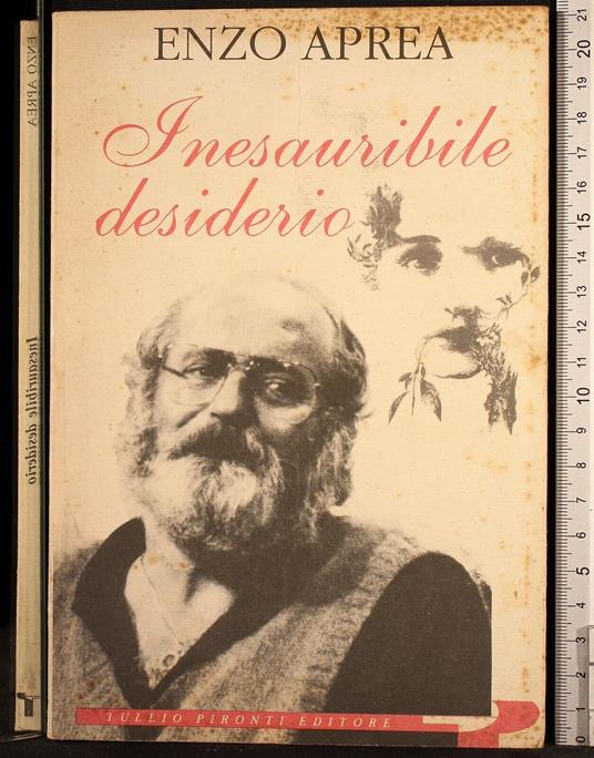 Inesauribile desiderio - Enzo Aprea - copertina