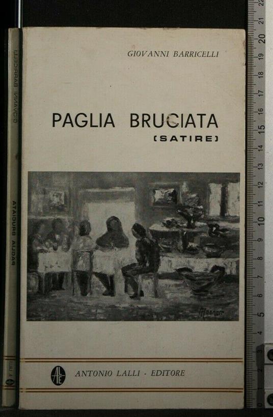 Paglia Bruciata (Satire) - Giovanni Barricelli - copertina