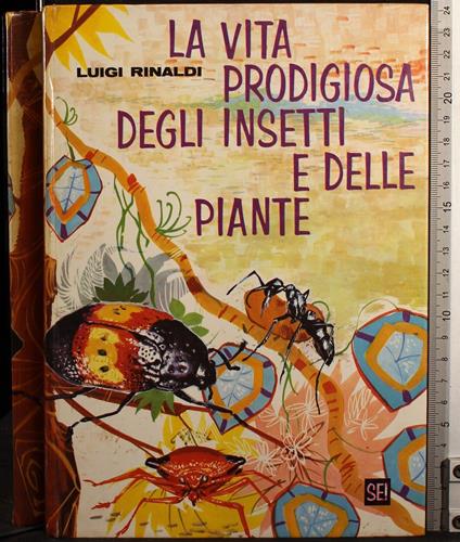 La vita prodigiosa degli insetti e delle piante - Luigi Rinaldi - copertina