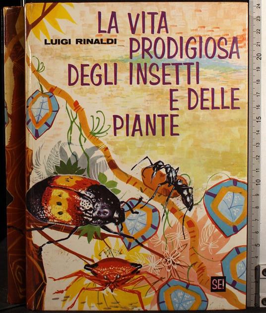 La vita prodigiosa degli insetti e delle piante - Luigi Rinaldi - copertina
