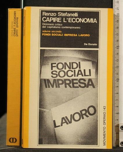 Capire L'Economia Volume 2 - Renzo Stefanelli - copertina