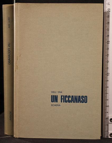 Un Ficcanaso - Tommaso Dell'Era - copertina