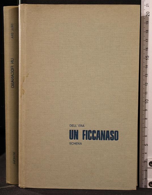 Un Ficcanaso - Tommaso Dell'Era - copertina