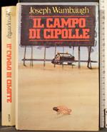 Il campo di cipolle