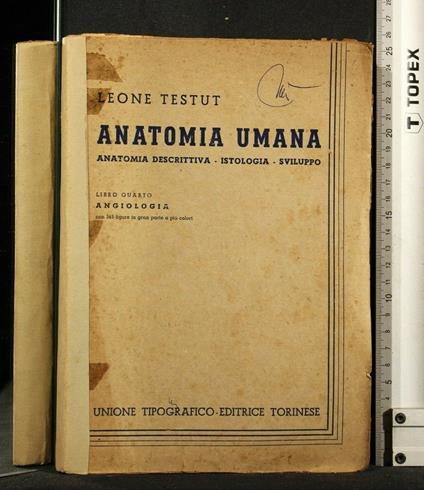 Anatomia Umana Libro Iv - Léon Testut - copertina
