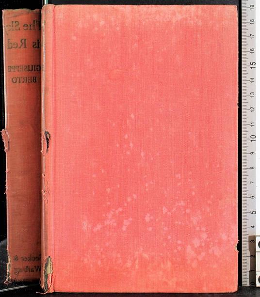 The sky is red - Giuseppe Berto - copertina