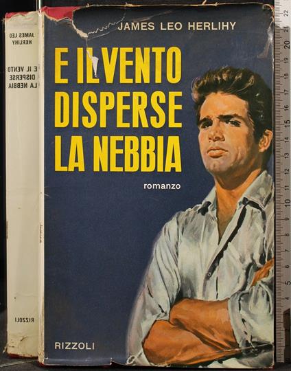 E Il Vento Disperse La Nebbia - James L. Herlihy - copertina