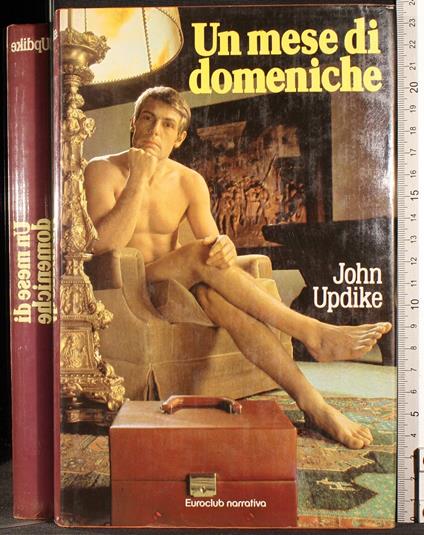 Un mese di domeiche - John Updike - copertina