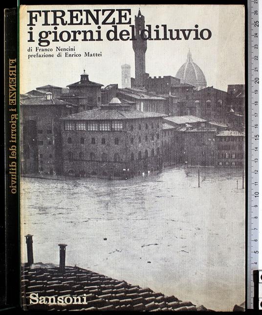 Firenze i giorni di diluvio - Franco Nencini - copertina