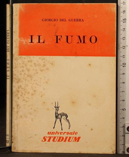 Il fumo - Giorgio Del Guerra - copertina