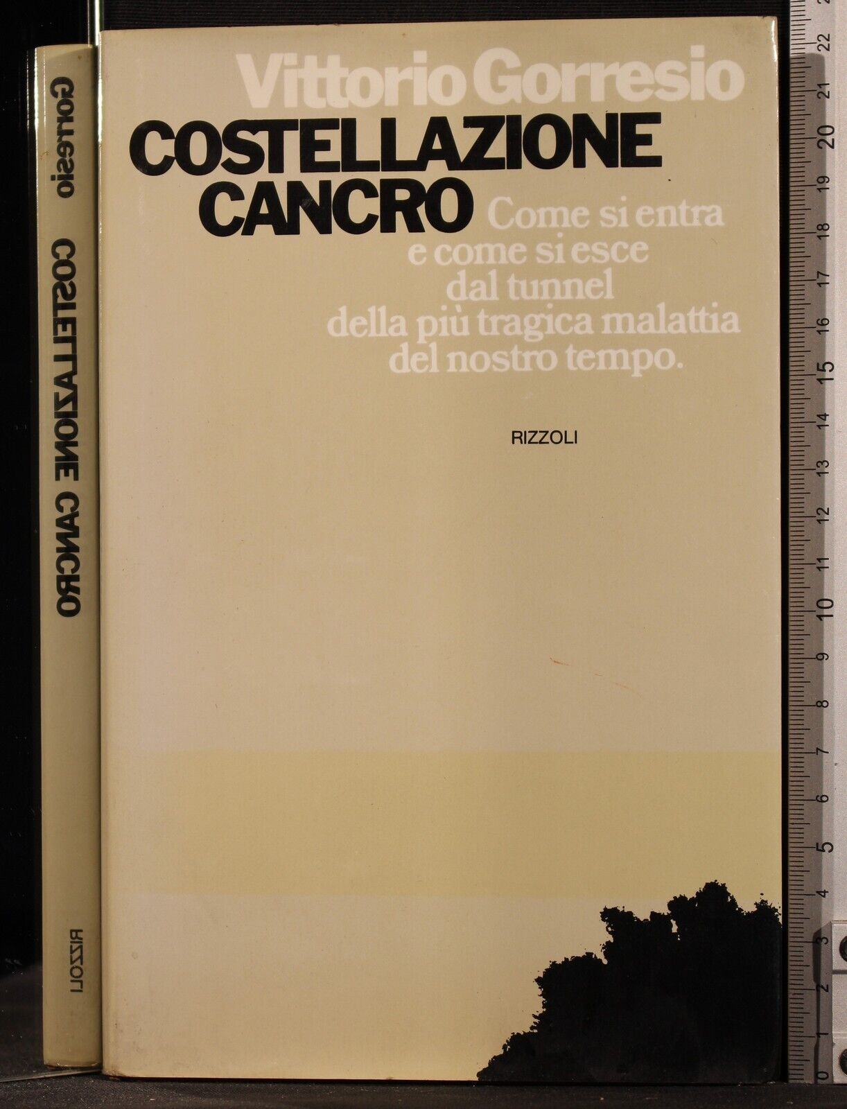 Cartarum