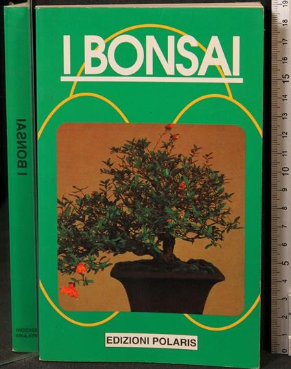 I Bonsai - Pierantonio Ambrosi - copertina
