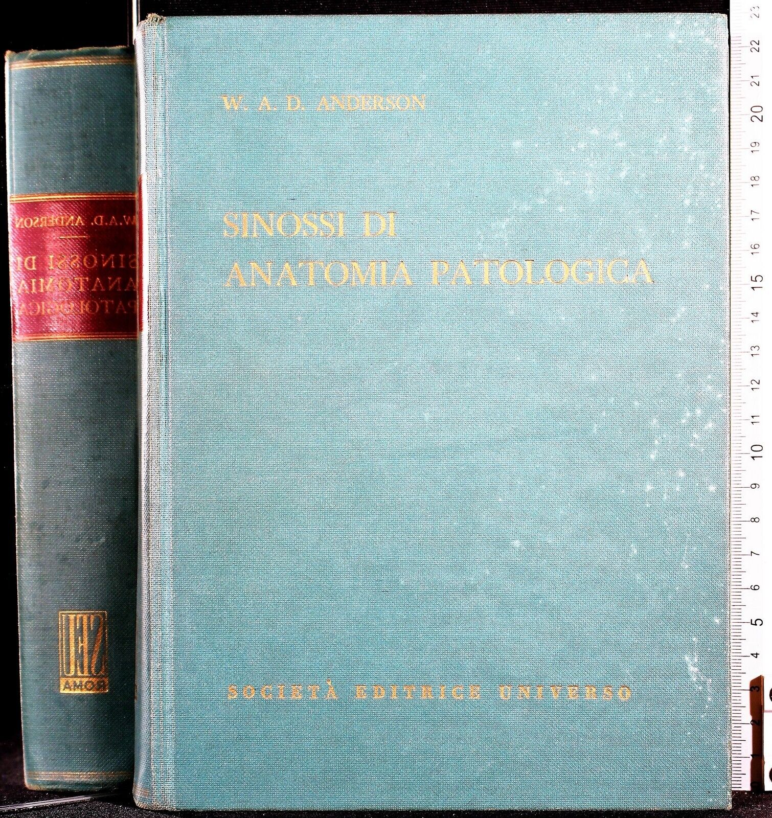 Cartarum
