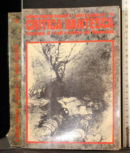 Critica dantesca - Giorgio Squarotti Barberi - copertina