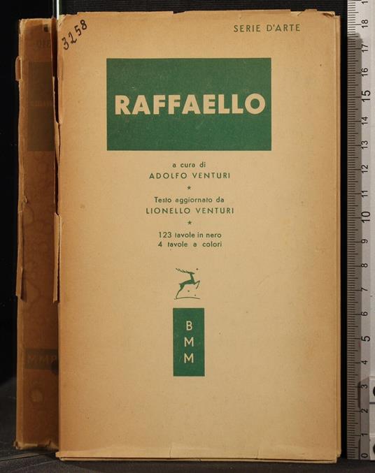 Raffaello - Giulio Venturini - copertina