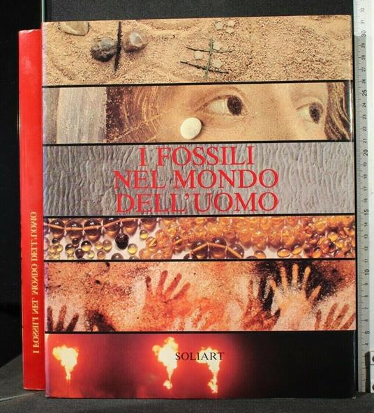 I Fossili Nel Mondo Dell'Uomo - Fossili Nel Mondo Dell'Uomo di: Annoscia - copertina