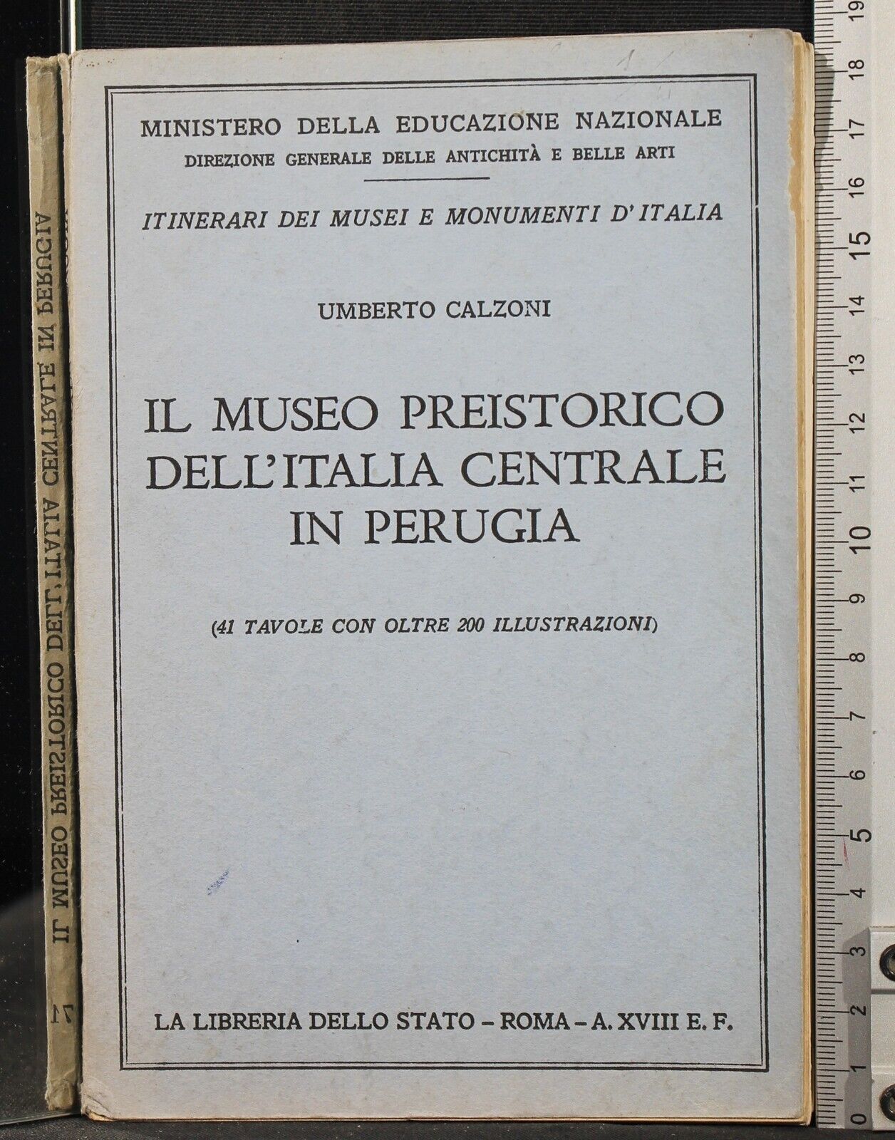 Cartarum
