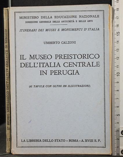 Il museo preistorico Italia centrale in Perugia - museo preistorico Italia centrale in Perugia di: Calzoni - copertina