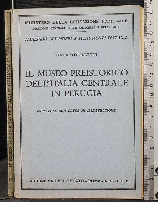 Il museo preistorico Italia centrale in Perugia - museo preistorico Italia centrale in Perugia di: Calzoni - copertina