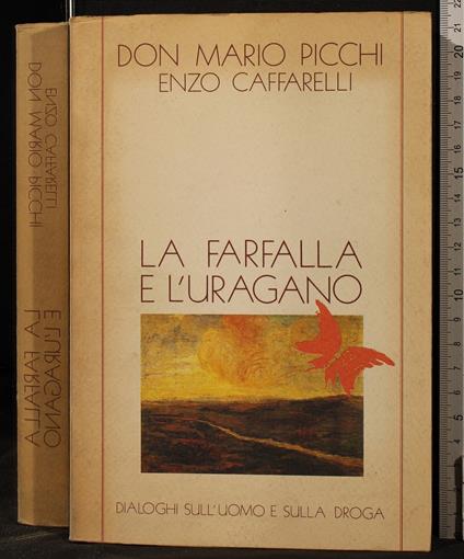 La farfalla e l'uragano - farfalla e l'uragano di: Don Picchi - copertina