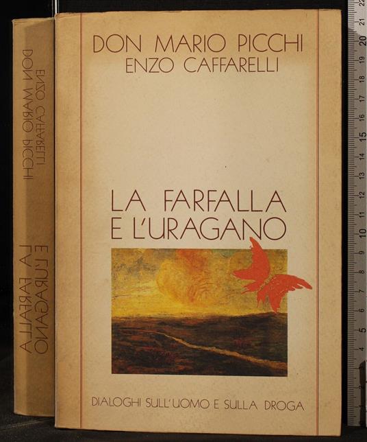 La farfalla e l'uragano - farfalla e l'uragano di: Don Picchi - copertina