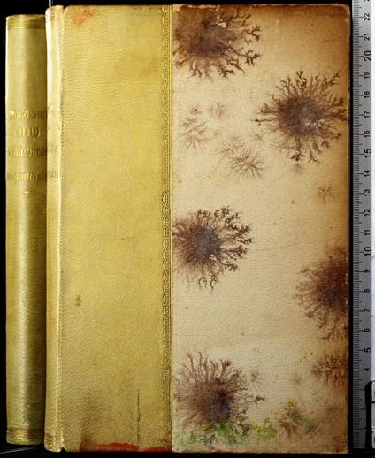 Weltgeschichtliche Betrachtungen - Weltgeschichtliche Betrachtungen di: Jakob Burckhardt - copertina