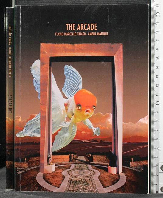 The Arcade - Arcade di: Troiso - copertina