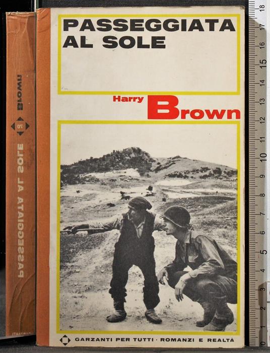 Passeggiata al sole - Harry Brown - copertina