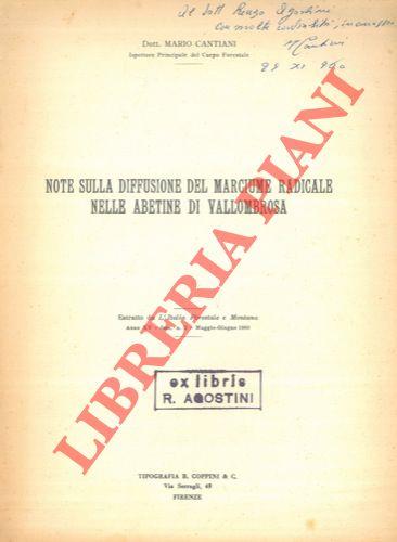 Libreria Piani