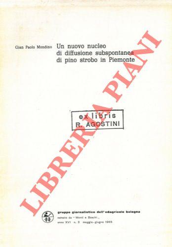Libreria Piani