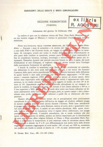 Libreria Piani