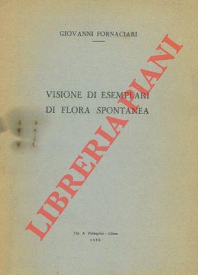 Libreria Piani