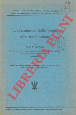 Libreria Piani