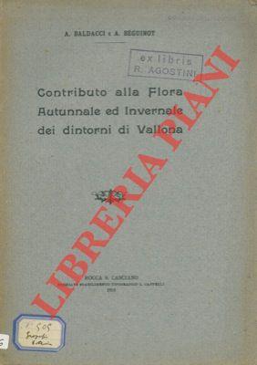 Libreria Piani
