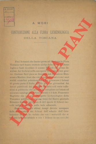Libreria Piani
