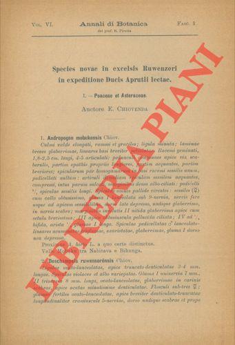 Libreria Piani
