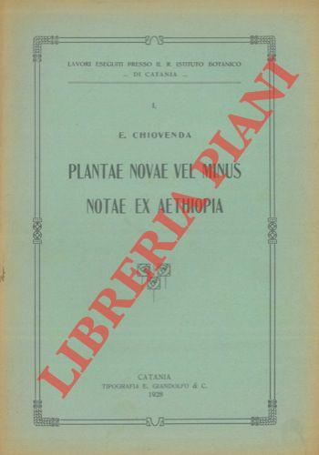 Libreria Piani
