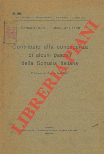 Libreria Piani