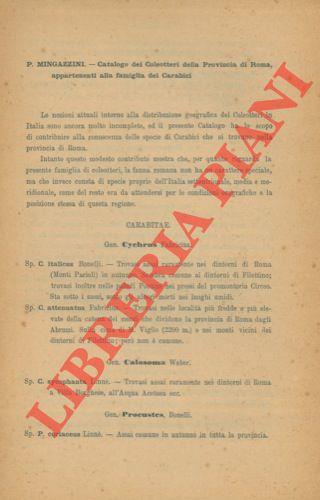 Libreria Piani