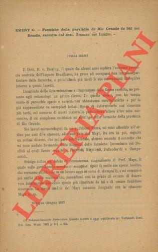 Libreria Piani