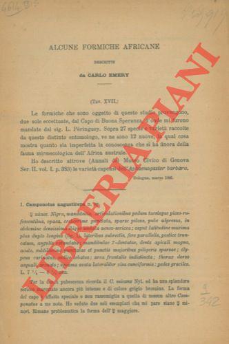 Libreria Piani