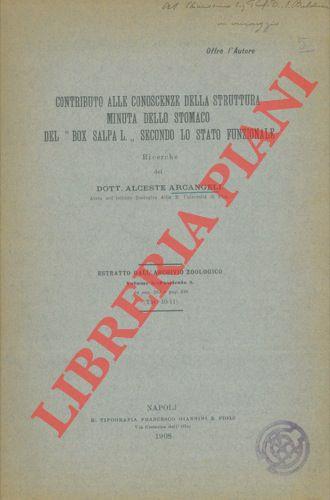 Libreria Piani