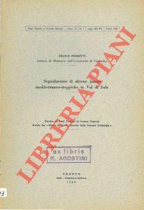 Libreria Piani