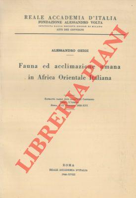 Libreria Piani