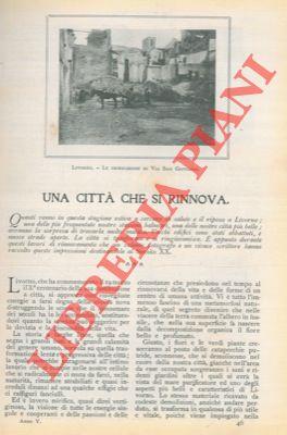 Libreria Piani