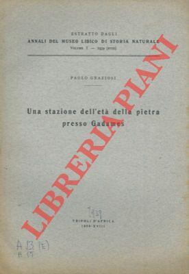 Libreria Piani